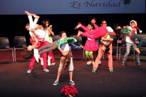 cedin navidad 201380