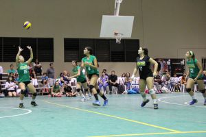 voleibol cedin 2012 noviembre108