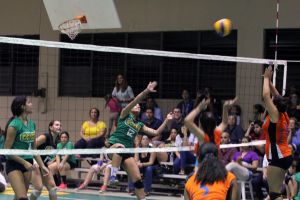 voleibol cedin 2012 noviembre18