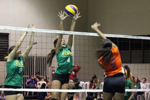 voleibol cedin 2012 noviembre22