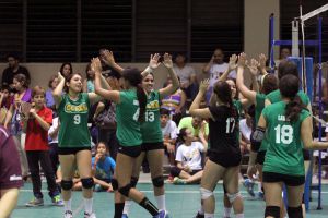 voleibol cedin 2012 noviembre28