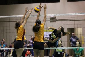 voleibol cedin 2012 noviembre29