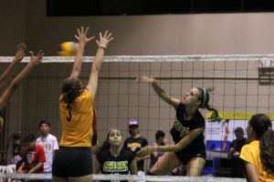 voleibol cedin 2012 noviembre31