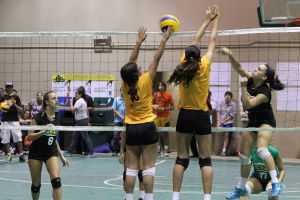 voleibol cedin 2012 noviembre32