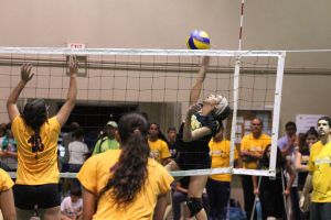 voleibol cedin 2012 noviembre33
