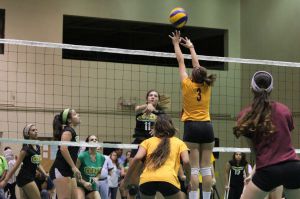 voleibol cedin 2012 noviembre39
