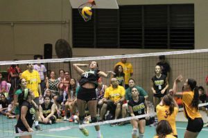 voleibol cedin 2012 noviembre44