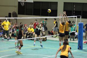 voleibol cedin 2012 noviembre45