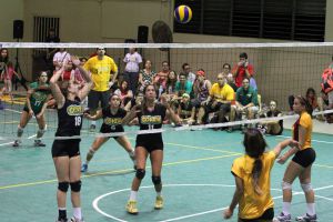 voleibol cedin 2012 noviembre46