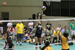 voleibol cedin 2012 noviembre47