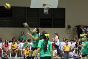 voleibol cedin 2012 noviembre74