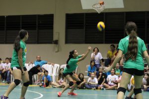 voleibol cedin 2012 noviembre82