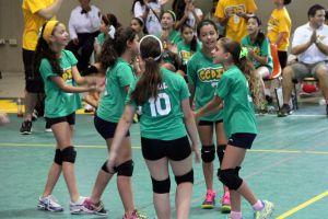 voli cedin14